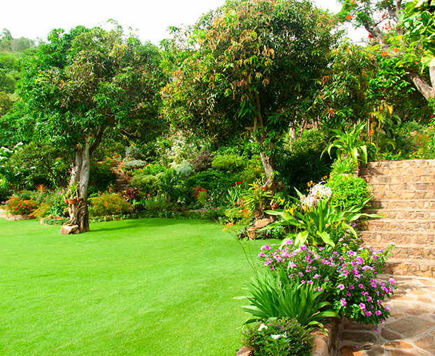 amenagement escaliers jardin